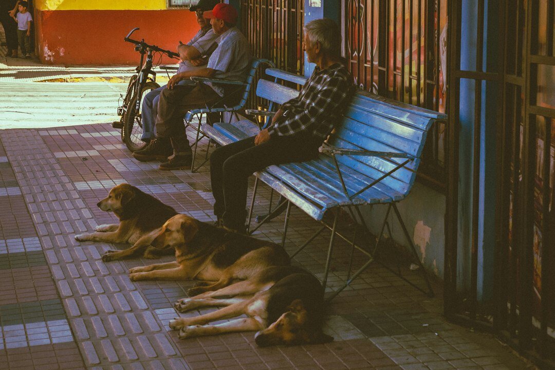 old street in la serena chile