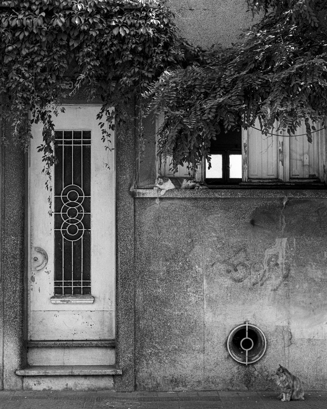 old wooden door santiago